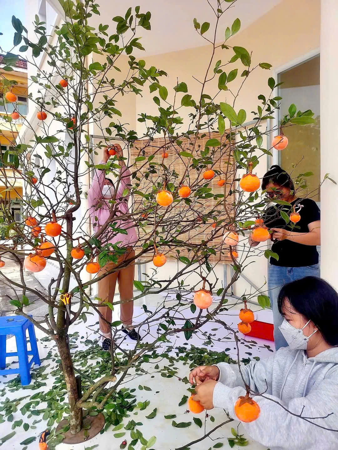 Chuẩn bị đón Tết Nguyên đán Ất Tỵ 2025
